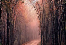 拜仁小组落后，遭遇意外