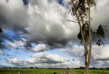 英超重启赛季，支持者期待悬念重重