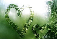 美洲杯决赛激战，南美球队展现实力