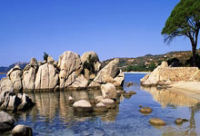 欧洲杯强弱对决：法国力压德国，豪取三连胜